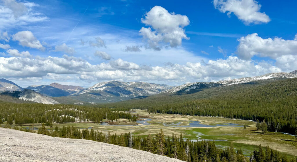 Tuolumne Meadows - Blackberry Inn Yosemite