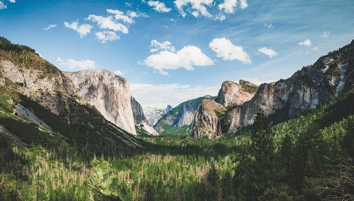 A Photographer’s Guide to Yosemite National Park, Blackberry Inn Yosemite