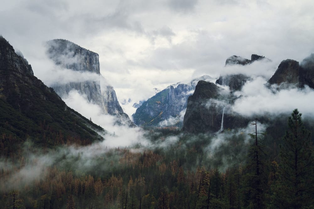 What to do on a Rainy Day in Yosemite National Park, Blackberry Inn Yosemite